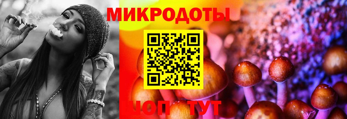 Псилоцибиновые грибы мицелий  Вход с VPN  Среднеуральск 